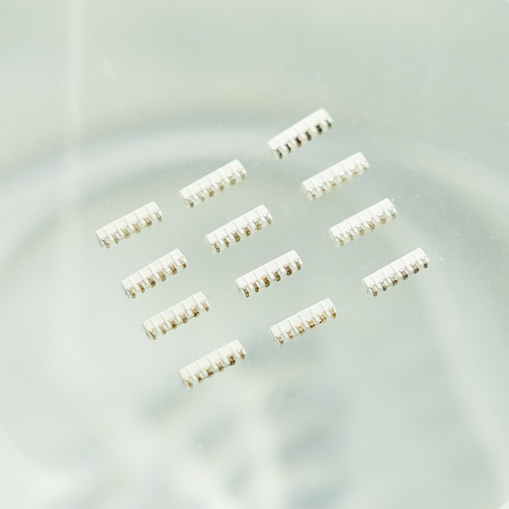 6204bf51b5cc9